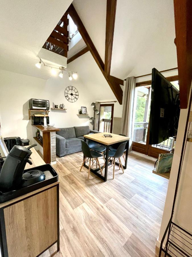 Duplex Du Pailhet, T3 Neuf, Vue Montagne, Parking, Navette Et 2 Velos A Disposition Gratuitement Bagnères-de-Luchon Exterior foto