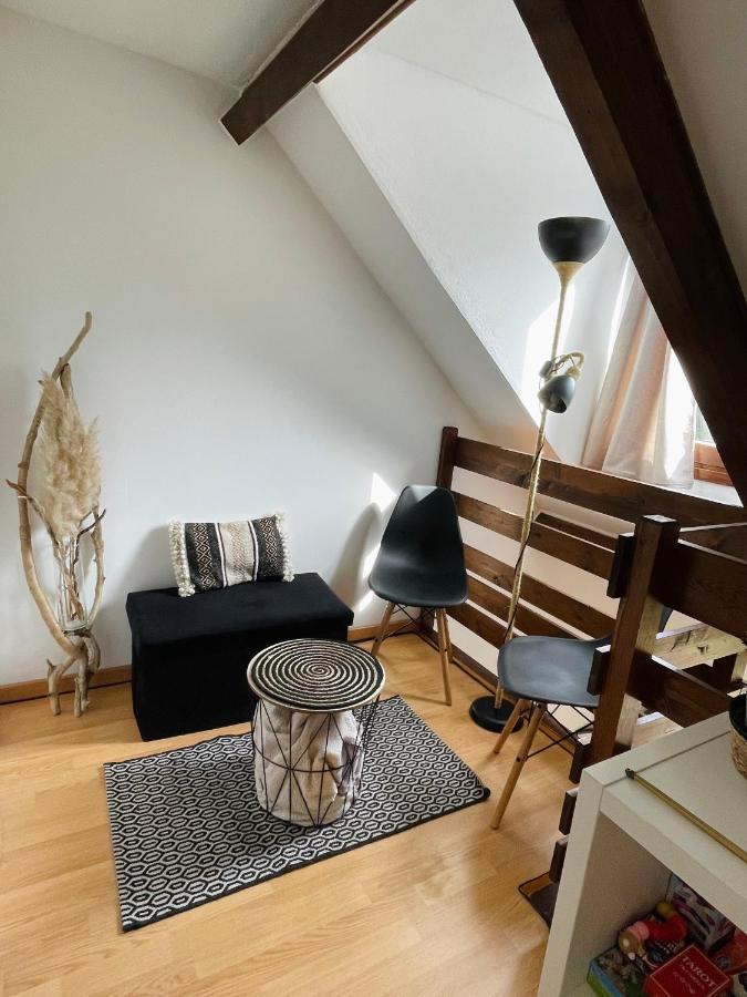 Duplex Du Pailhet, T3 Neuf, Vue Montagne, Parking, Navette Et 2 Velos A Disposition Gratuitement Bagnères-de-Luchon Exterior foto