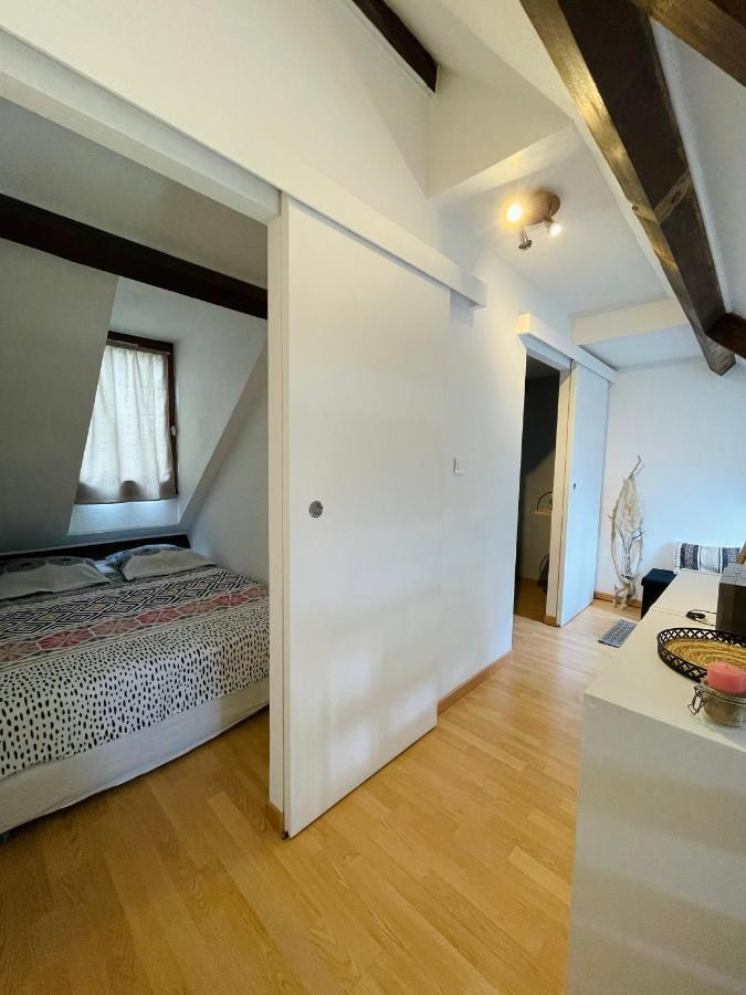 Duplex Du Pailhet, T3 Neuf, Vue Montagne, Parking, Navette Et 2 Velos A Disposition Gratuitement Bagnères-de-Luchon Exterior foto